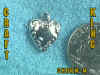 CHARM-M.jpg (23788 bytes)