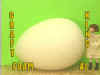 FOAM-AI.jpg (60141 bytes)
