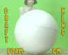 FOAM-CM.jpg (54538 bytes)