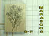 STAMP-F.jpg (16472 bytes)