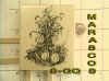 STAMP-GQ.jpg (152001 bytes)