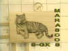 STAMP-GX.jpg (145118 bytes)